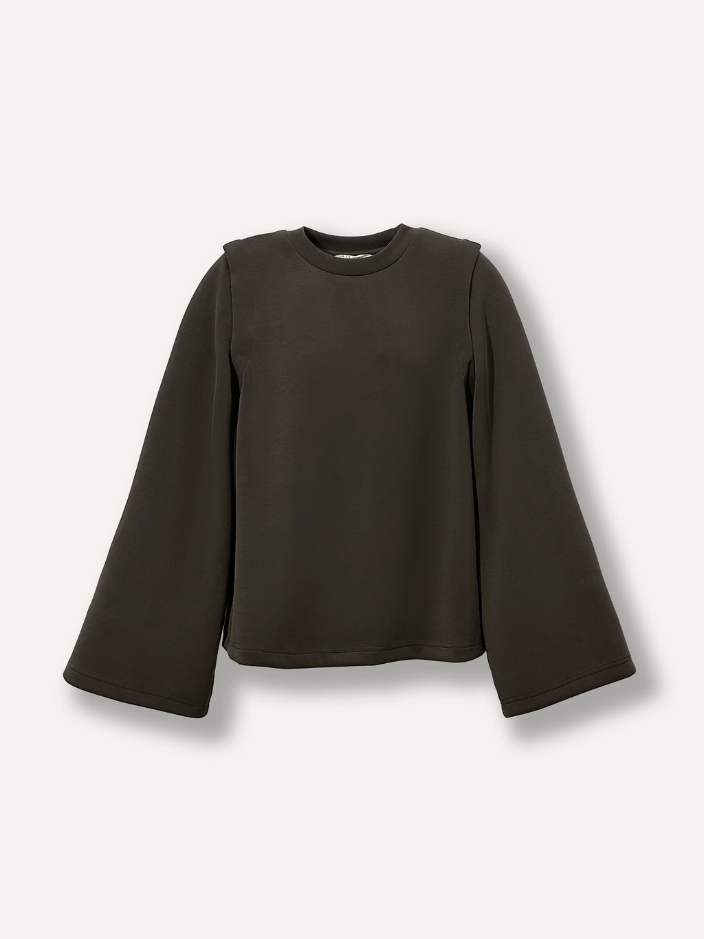 Chandail brun ample pour femme à manches longues amovibles et manches larges, avec col rond. Tissu confortable et extensible offrant une coupe décontractée. Chandail tendance et polyvalent pour femmes de 25 à 35 ans, idéal pour un look moderne au quotidien.